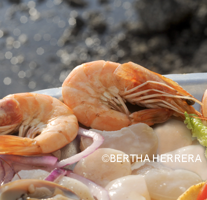 Gastronomía Y Campo