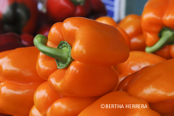 Ya Viene México Alimentaria 2018