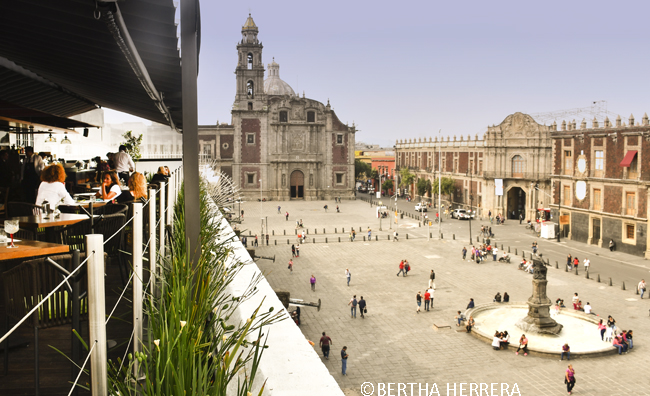 Un Oasis En El Centro Histórico De La CDMX