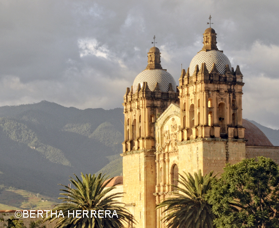 Ya Viene Oaxaca Flavors, El Saber Del Sabor