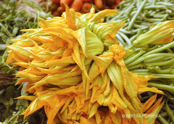 FLOR DE CALABAZA