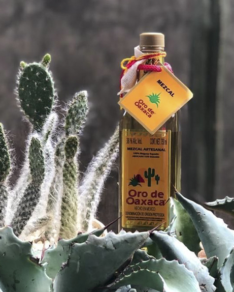 Un Mezcal Que Nace Y Se Desarrolla Con Identidad Propia