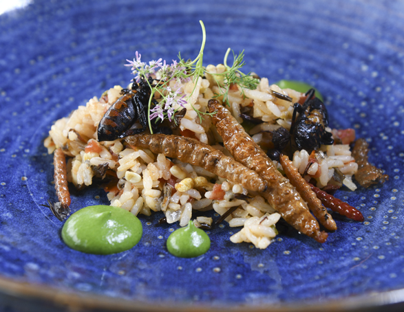 Arroz Con Bichos. Los Danzantes