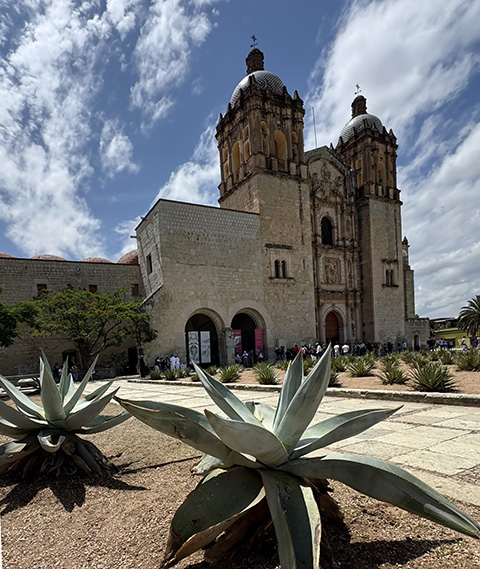 Prepárate A Disfrutar El Turitour De CDMX A Oaxaca